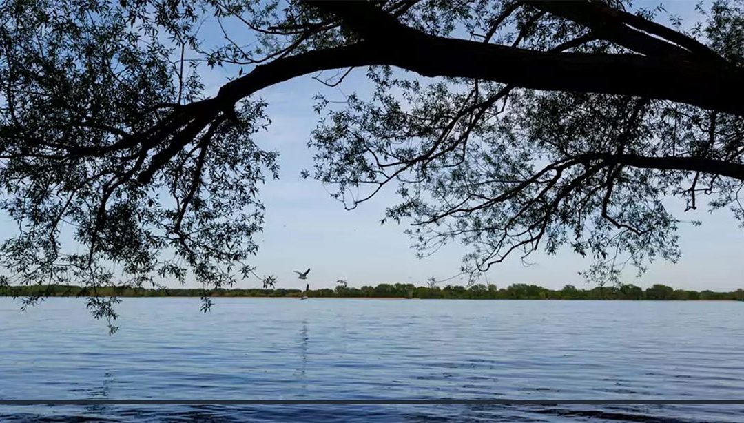 Direction des sports, des parcs et des espaces verts, Ville de Montréal