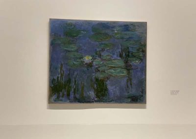 326060596 1310371539693922 270317490504379150 N